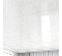 Pannelli autoadesivi for controsoffitti in PVC, for in plastica, decorativi for,Colla senza piastrelle for soffitti,Isolante,Per,Camera da letto,Soggiorno e sala giochi(Style B,5-pcs 30 * 60cm)