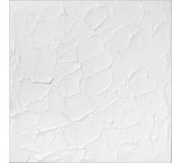 Pannelli da Soffitto in Polistirolo Bianco - Decorazione Pareti e Soffitti