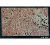 Pannelli decorativi in sughero per rivestimento murale spess. 3mm - 10 decori