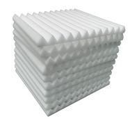 Pannelli in schiuma acustica, Pannelli in schiuma acustica 12 pezzi Bianco Nero 30x30x2,5 cm(White)