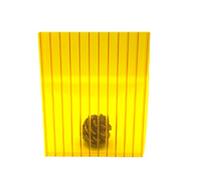 Pannelli per serre in policarbonato, lastre trasparenti rinforzate a doppia parete per scaffali per piante