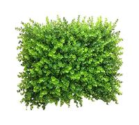 Pannelli per siepi artificiali, 40 x 60 cm, pannelli per piante di bosso verdi, recinto di siepi artificiale, bosso verde edera, recinto per la privacy, decorazione da giardino, C