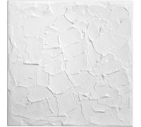 Pannelli Rivestimento Parete Soffitto Polistirolo Bianco 50x50 cm 0811