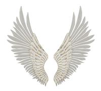 PANNELLO ALI NATURAL COPPIA