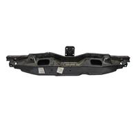 Pannello Anteriore Citroen Peugeot 1611621680 Originale