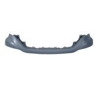 DIEDERICHS 3590108 Mostrina, Griglia radiatore