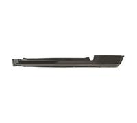 Pannello di accesso BLIC 6505-06-9520001P sinistro