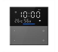 Pannello di controllo vocale Tuya Little Smart Spirit Interruttori a 2 canali Scena a 2 canali Controllo basato su zone Wi-Fi 2.4G+infrarossi