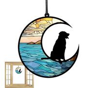 Pannello di Luce Sospeso per Decorazioni per Cani Luna Acrilico, Catcher dei Sogni Trasparente | Accessorio Comodo Trasformato A Mano Artigianale E Rilassante Elemento Poetico Installato