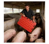 Pannello di selezione bestiame multi-specie, design 3 in 1 per maiale, pecora e capra, superficie ruvida per una presa sicura in fattorie fangose e condizioni eque