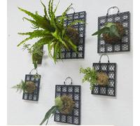 Pannello espositivo per piante da interno con fioriera da parete spessa in