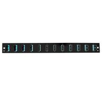 Oem Pannello Frontale per Cassetto Ottico 1U 12 SC Duplex/LC OM3 Nero