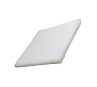 Pannello In Plastica Estrusa In Nylon PA6