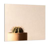 PANNELLO IN VETRO PER CUCINA 65x60 Cactus