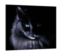 PANNELLO IN VETRO PER CUCINA 65x60 Cat