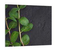 PANNELLO IN VETRO PER CUCINA 65x60 Menta