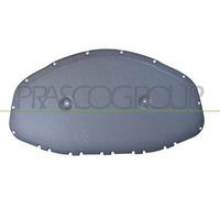 PANNELLO INSONORIZZATORE COFANO-12 CLIPS SUPERB - Mod. 03/15 - 03/19