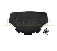 Pannello Insonorizzatore Cofano 6 Clips Bmw 3 Series G20/G21 2018-2022 BM0341945