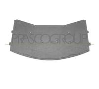 Pannello Insonorizzatore Cofano Bmw 7 Series - E38 Dal 1994 Al 1998 51488125951