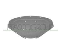Pannello Insonorizzatore Cofano Per Bmw 1 Series - F20/f21 Dal 2011 Al 2015