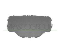 Pannello Insonorizzatore Cofano Per Bmw 5 Series - E60/e61 Dal 2003 Al 2007