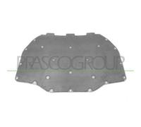 Pannello Insonorizzatore Cofano Per Bmw 5 Series - F07 Gt Dal 2009 Al 2012