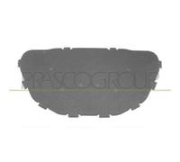 Pannello Insonorizzatore Cofano Per Bmw X1 - E84 Dal 2009 Al 2012 Bm7021945