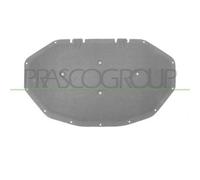 Pannello Insonorizzatore Cofano Per Bmw X3 - F25 Dal 2010 Al 2014 Bm8041945