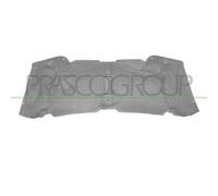 Pannello Insonorizzatore Cofano Per BMW X5 - E53 Dal 2000 Al 2006 BM8201945