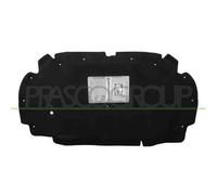 Pannello Insonorizzatore Cofano Per Citroen C5 Dal 2001 Al 2004 Ci5201945 7979c4