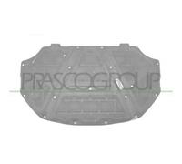 PANNELLO INSONORIZZATORE COFANO JETTA (A6) - Mod. 01/10 - 06/14
