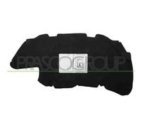 Pannello Insonorizzatore Cofano Peugeot 206 Dal 1998 Al 2009 Pg0091945 7979f0
