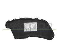 Pannello Insonorizzatore Cofano Peugeot 207 Dal 2006 Al 2009 Pg3201945 7979k3
