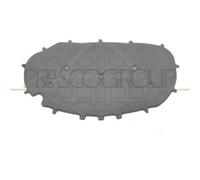 Insonorizzazione Vano Motore Prasco VG0381945 per VW