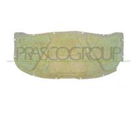 PANNELLO INSONORIZZATORE COFANO PASSAT B5 - Mod. 11/96 - 09/00