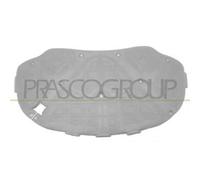 Pannello Insonorizzatore Cofano Volkswagen Passat B6 Dal 2005 Al 2010 3c0863831b