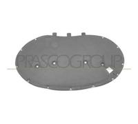 Pannello Insonorizzatore Cofano VOLKSWAGEN PASSAT B7 Dal 2010 Al 2014 3AA863831A