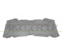 PANNELLO INSONORIZZATORE COFANO X5 - E53 - Mod. 05/00 - 12/06