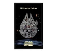Pannello per Visualizzare per Lego 75389 75257 Millennium Falcon, Cornice da Muro per Blocchi da Costruzione Compatibile con Lego 75389 75257 Decorazioni per Sfondo (Modello non Incluso) (Opzione F)