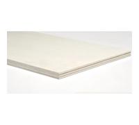 Pannello pioppo multistrato 5x1200x300 mm legno chiaro