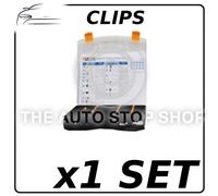 Pannello Porta Clip Peugeot Boxer-Rcz Citroen AX-C5 444 Pezzi 1 Set Parte No:84