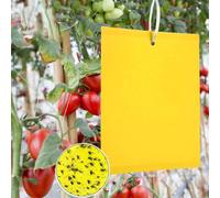 Panngu 50 Pezzi di Trappole Appiccicose per Parassiti delle Piante, Double Face,