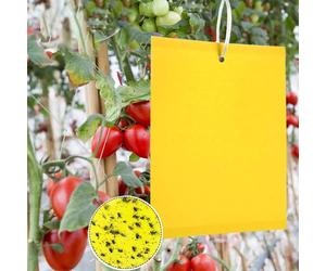 Panngu 50 Pezzi di Trappole Appiccicose per Parassiti delle Piante, Double Face,