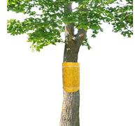 Panngu Anelli di colla autoadesivi, 15 metri, lavagne gialle per cingolati, per alberi da frutto, formiche, anello per albero di ciliegio, melo, prugna