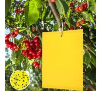 Panngu Trappole Appiccicose 15cm x 20cm MoscheTrappola Trappola per Insetti per