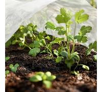Panno protettivo per piante invernale e gelo con tessuto non tessuto traspirante a prova di freddo, struttura resistente agli strappi e stabilizzazione integrata per un uso a lungo termine (3 x 6 m