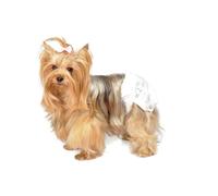 Camon PANNOLINI MUTANDINA XL TAGLIA 4 12 PEZZI