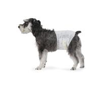 Pannolini usa e getta per cani maschi Medio (confezione da 30) Bianco