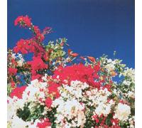 Panoptica - The Tijuana Remixes