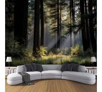 Panorama Carta da Parati Murale 350Lx256A cm, Parati Murali Luce Solare Foresta Mistero Natura, Nero Verde Poster Con Effetto 3D Decorazione Soggiorno Camera Letto Sala Ufficio